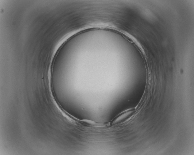 X0000083611343200703051534