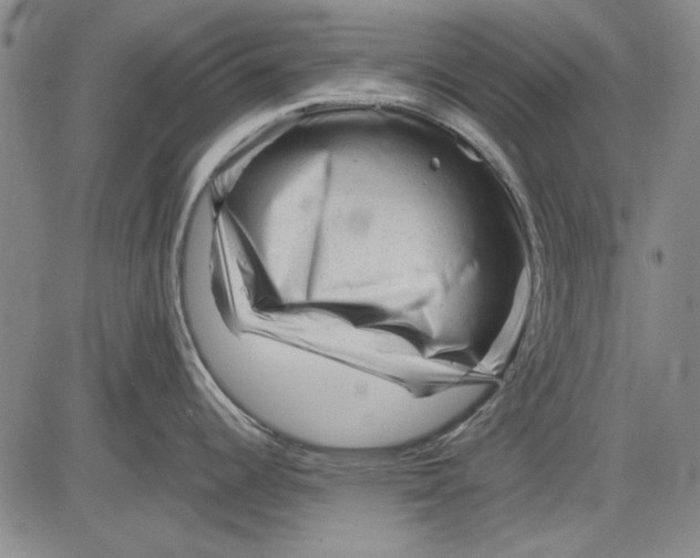 X0000083611344200703051534