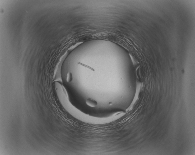 X0000083611345200703051533