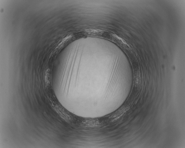 X0000083611346200703051533