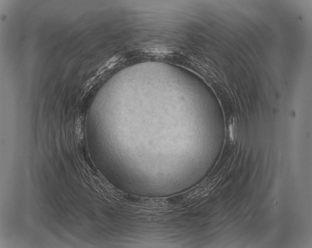 X0000083611347200703051533