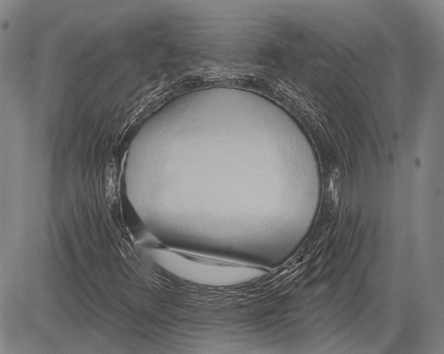 X0000083611348200703051533