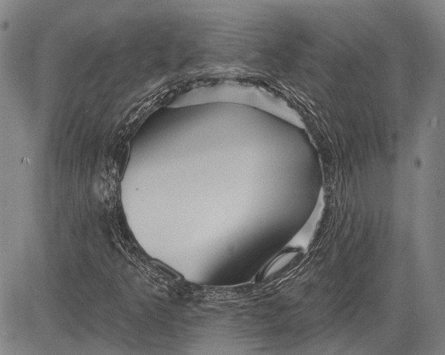 X0000083611349200703051533