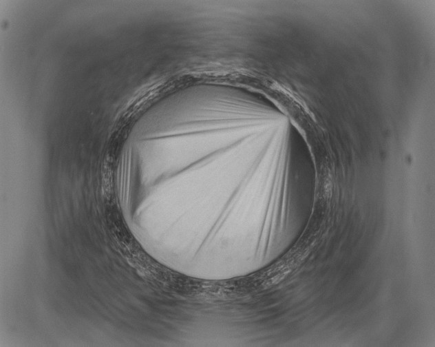 X0000083611350200703051533