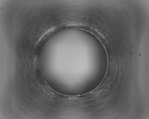 X0000083611351200703051533