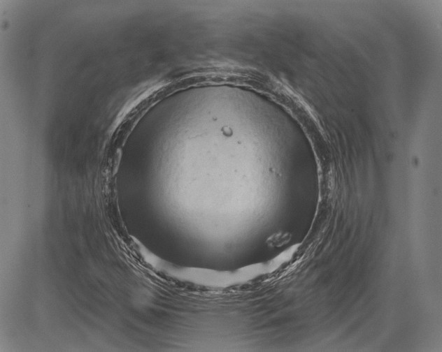 X0000083611352200703051533