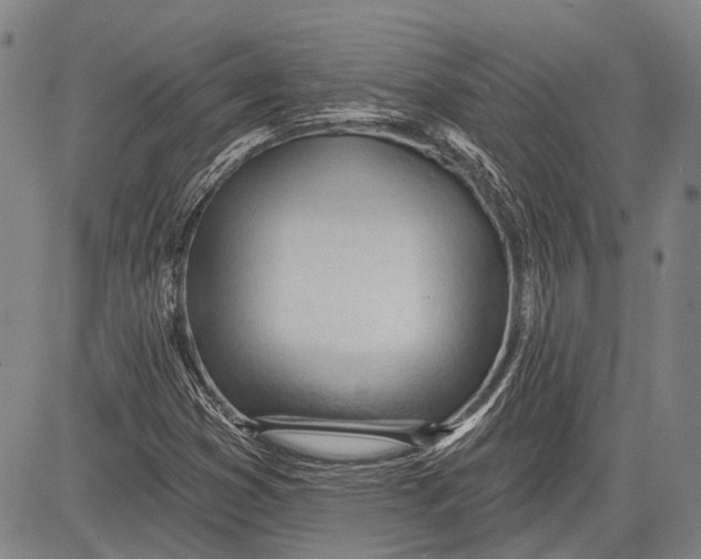 X0000083611353200703051533