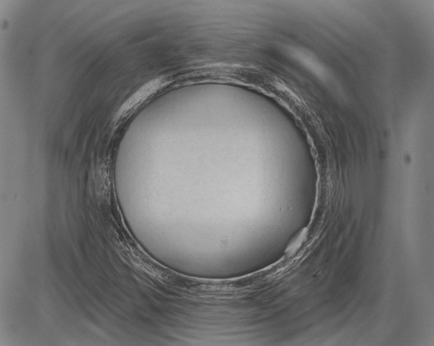 X0000083611354200703051533