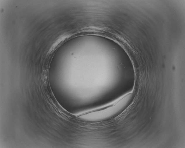 X0000083611355200703051533