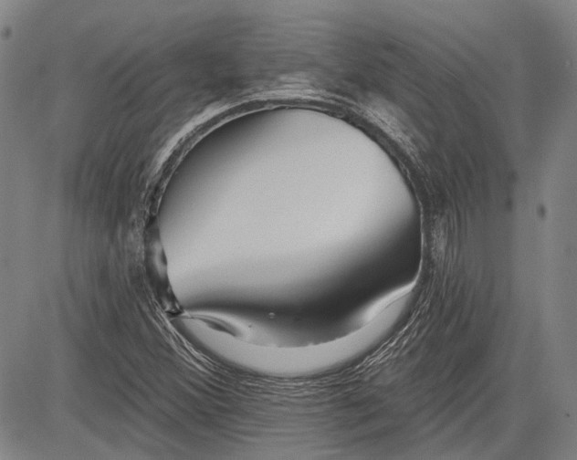 X0000083611356200703051533