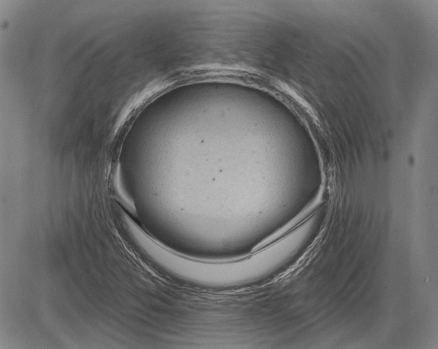 X0000083611357200703051533