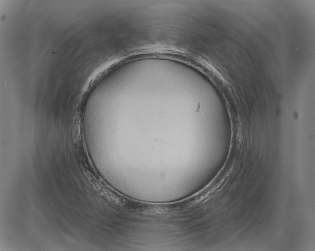 X0000083611358200703051533