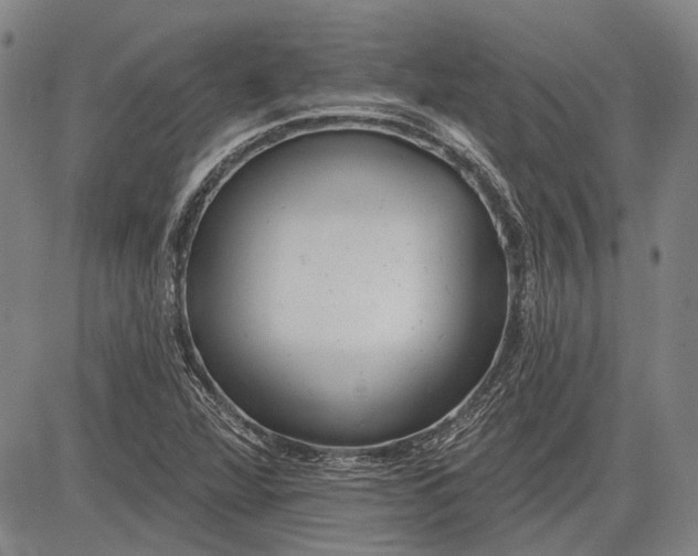 X0000083611360200703051533