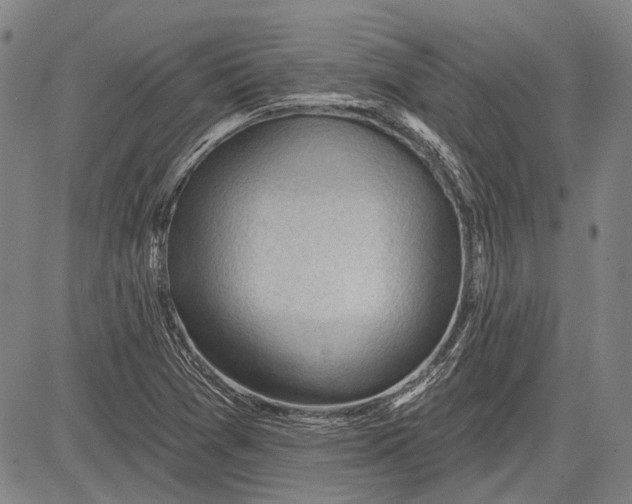 X0000083611361200703051532