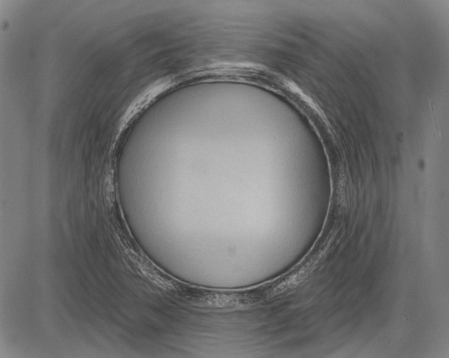 X0000083611362200703051532