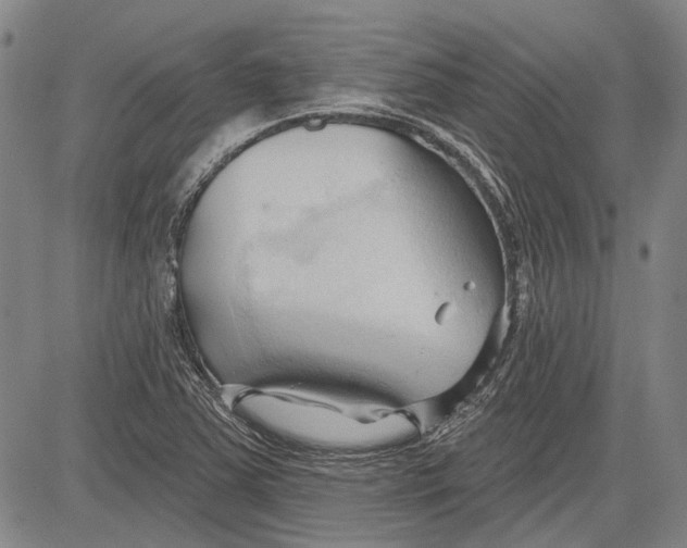 X0000083611363200703051532