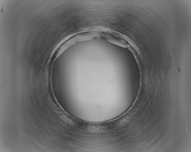 X0000083611364200703051532