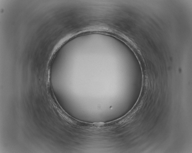 X0000083611366200703051532