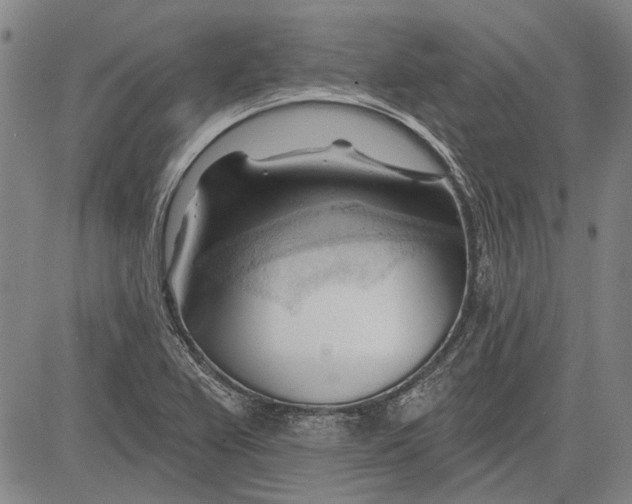 X0000083611367200703051532