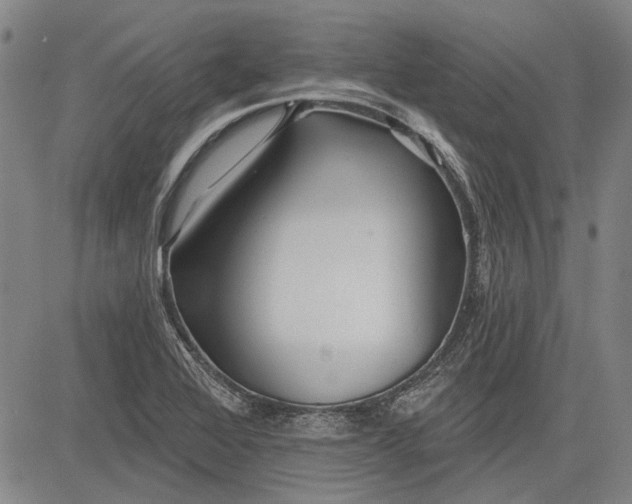 X0000083611368200703051532