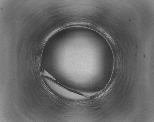 X0000083611369200703051532