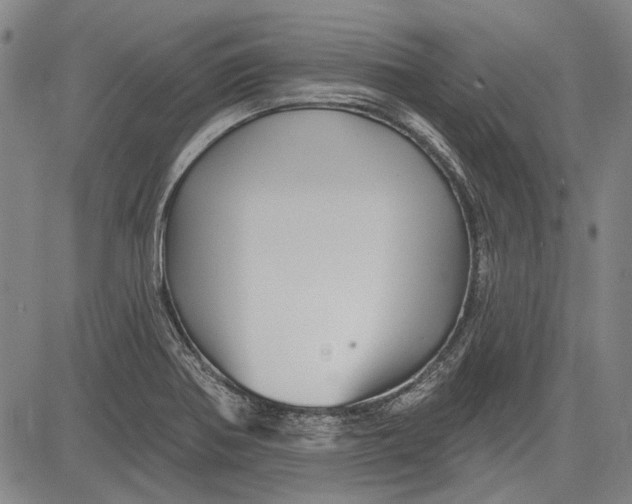 X0000083611370200703051532