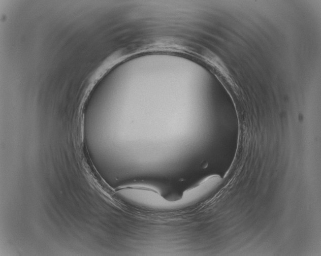 X0000083611371200703051532