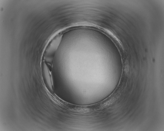 X0000083611372200703051532