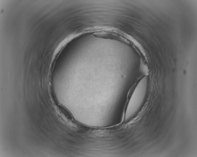 X0000083611373200703051532