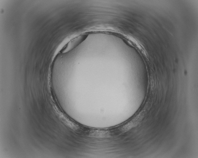 X0000083611374200703051532