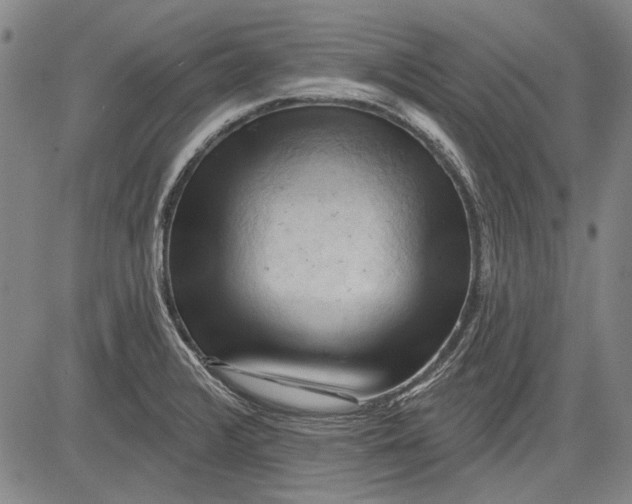 X0000083611376200703051532