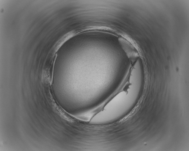 X0000083611377200703051532