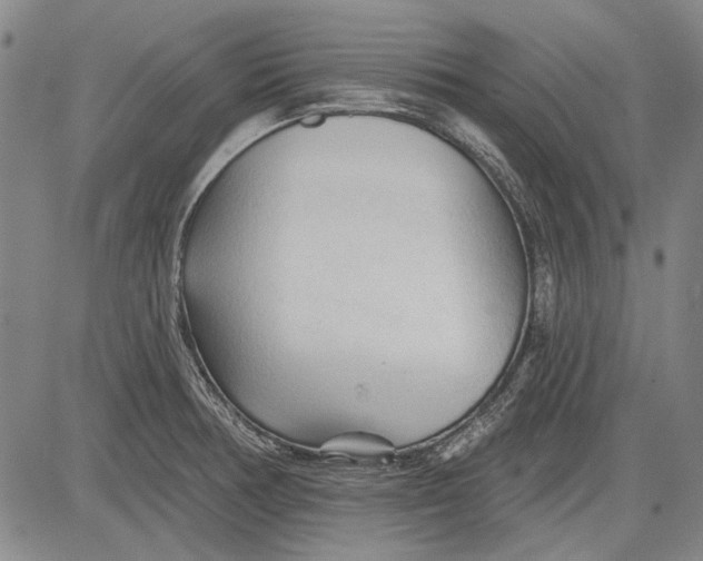 X0000083611378200703051532