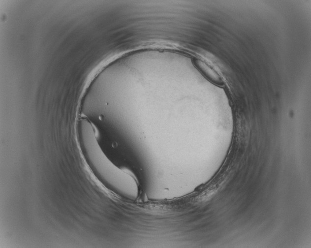 X0000083611379200703051532