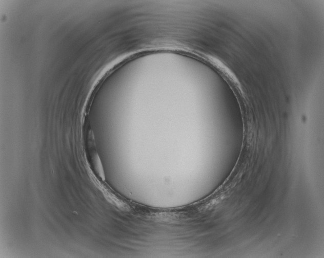 X0000083611380200703051532