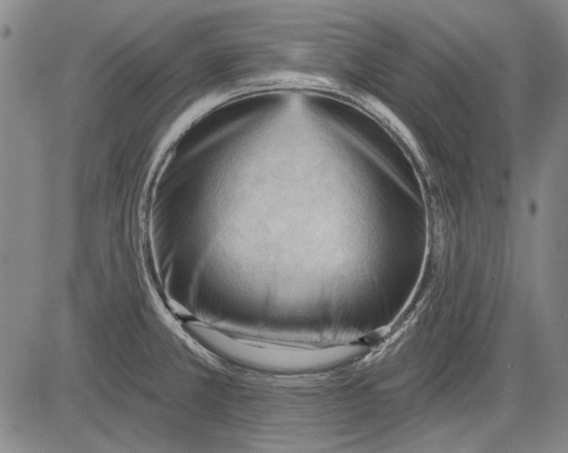 X0000083611381200703051532