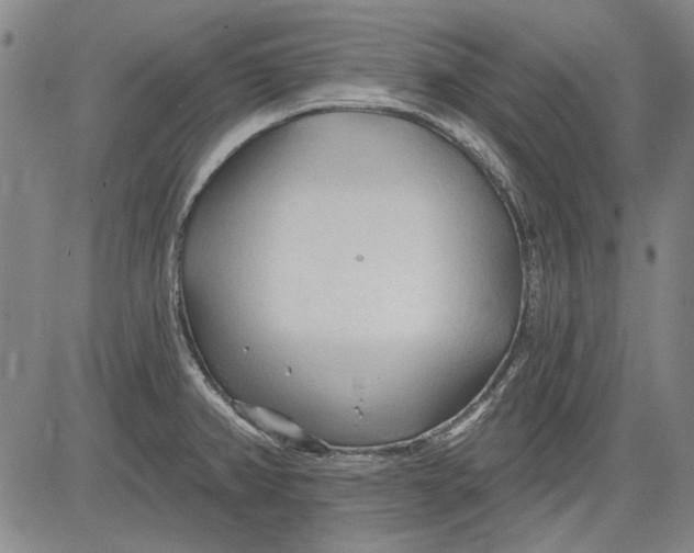 X0000083611382200703051532