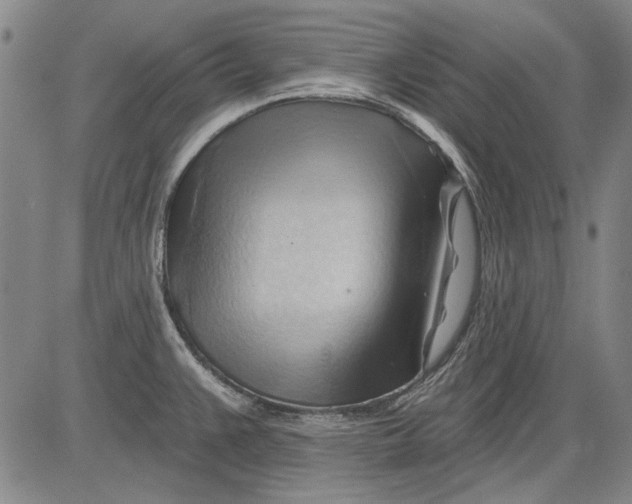 X0000083611383200703051532