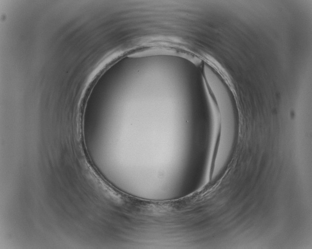 X0000083611384200703051532