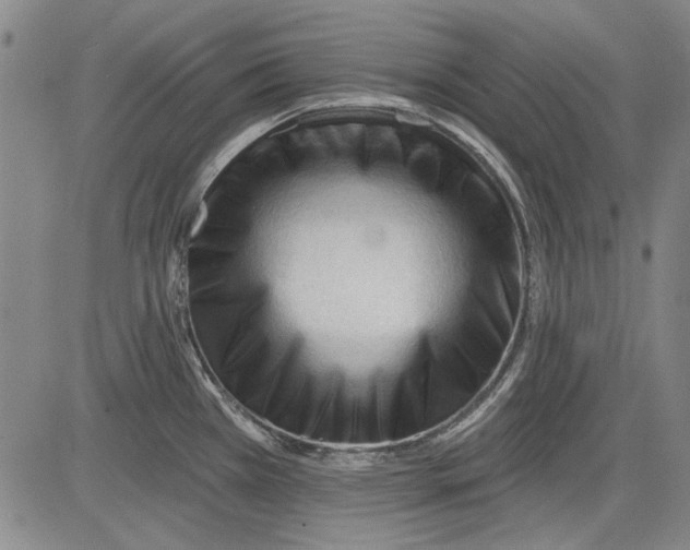 X0000083611385200703051532