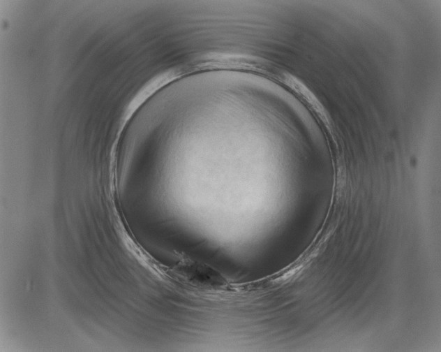 X0000083611386200703051532