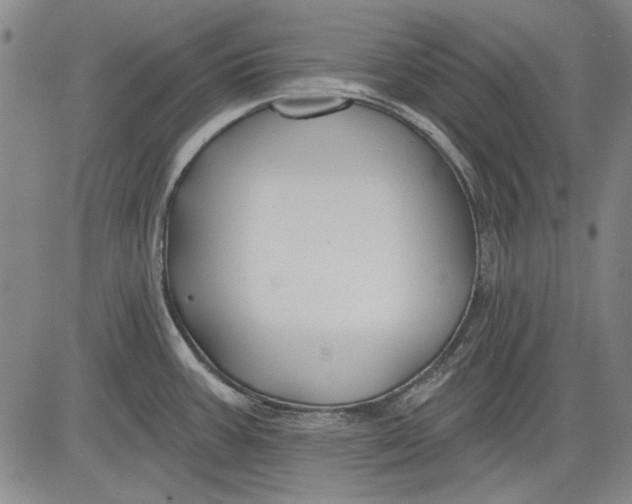 X0000083611387200703051532