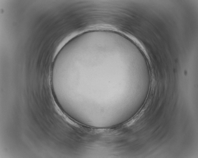 X0000083611390200703051532