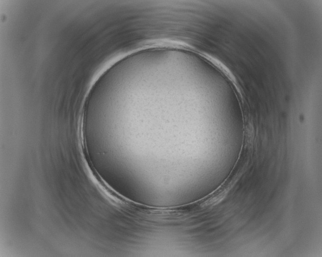 X0000083611391200703051532