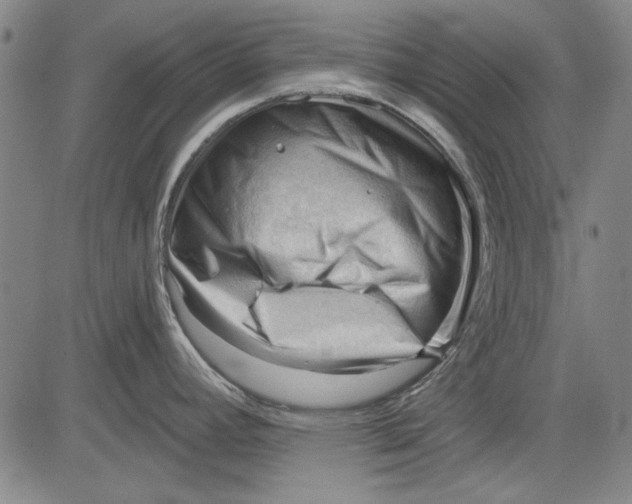 X0000083611392200703051532