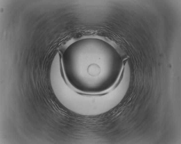 X0000083611394200703051531