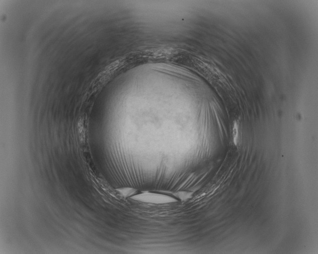 X0000083611395200703051531