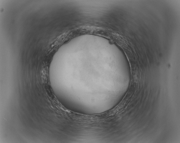 X0000083611397200703051531