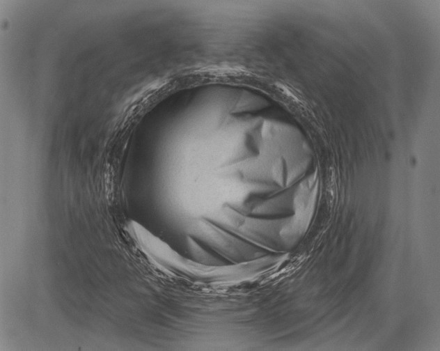 X0000083611398200703051531