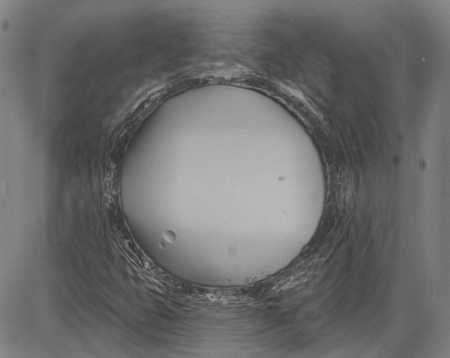 X0000083611399200703051531